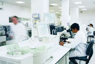 玫瑰綻放富陽，國妝筑夢未來 記杭州好公司的民族品牌之路